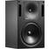 Genelec 1032C Sam