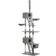vidaXL 170522 Kradsetræ