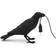 Seletti Bird Waiting Wall light