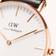 Daniel Wellington DW Classic Bayswater 36mm Rose Gold