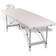 vidaXL 4 Zones Massage Table Aluminum Frame