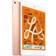 Apple iPad Mini Cellular 256GB (2019)