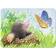 Ravensburger My First Puzzles Sweet Garden Dwellers 20 Pieces