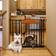 Carlson Design Paw Auto Close Gate