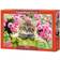 Castorland Kitten in Flower Garden 500 Pieces