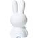 Mr Maria Miffy First Light Natlampe