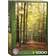 Eurographics Forest Path 1000 Pieces