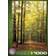 Eurographics Forest Path 1000 Pieces