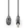 Nedis XLR-6.3mm 5m