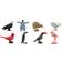 Safari Birds Fun Pack 100217