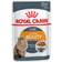 Royal Canin Intense Beauty in Gravy 12x85g