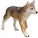 Safari Coyote 113089