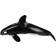 Safari Killer Whale 210202