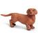 Safari Dachshund 251529