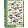 Eurographics Dinosaurs of the Cretaceous Period 1000 Pieces