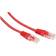 Iiglo RJ45-RJ45 UTP Cat6 0.5m