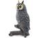 Safari Long Eared Owl 100093
