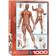 Eurographics The Muscular System 1000 Bitar