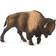 Safari Bison 100152