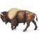 Safari Bison 100152