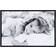 Focus Can-Can Ram 30x45cm
