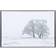 Focus Can-Can Black Ram 20.9x25.9cm