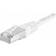 Dexlan RJ45-RJ45 F/UTP Cat6a 0.3m