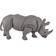 Safari White Rhino 270229