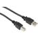 Iiglo USB A-USB B 2.0 2m