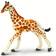 Safari Reticulated Giraffe Baby 268529