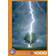 Eurographics Lighting Striking Tree 1000 Bitar
