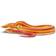 Safari Corn Snake 100073