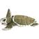 Safari Kemp's Ridley Sea Turtle Baby 267429