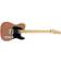 Fender American Performer Telecaster RW HBST