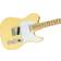 Fender American Performer Telecaster RW HBST