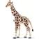 Safari Giraffe 100421