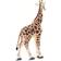 Safari Giraffe 100421