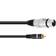 Omnitronic RCA-XLR M-F