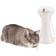 FroliCat Automatic Multi-Laser Cat Toy