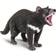 Safari Tasmanian Devil 100247