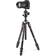 Manfrotto Befree GT Carbon Statief Twist Lock Balhoofd