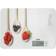 Laica KS5020 Balance de Cuisine