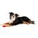 Trixie Zelfklevend Verband Assorti 5 cm 4 pcs