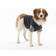 Buster Body Suit Easygo Dog S