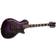 ESP PS-1000