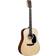 Martin Guitars D-12E