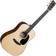 Martin Guitars D-12E