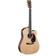 Martin Guitars DCPA4 Rosewood