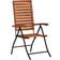 vidaXL 44391 2-pack Reclining Chair, Garden Dining Chair
