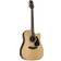 Takamine GD90CE-ZC